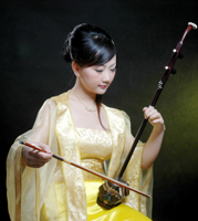 Xu Zhen, Erhu