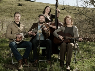 Foghorn Stringband