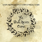 Liam Merriman & Eoin O Meachair: The Birds Never Cease