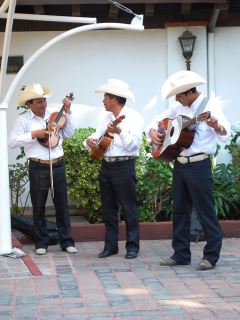 Son Huasteca trio