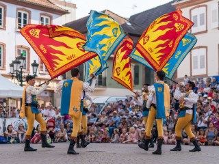 Sbandieratori Ducato Caetani di Sermometa, Italy, 2017